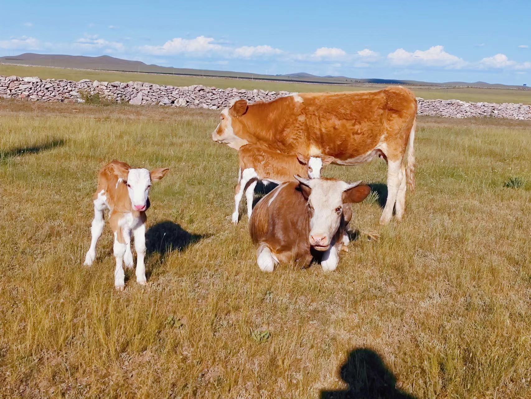 天津微儀.jpg 天津微儀.jpg