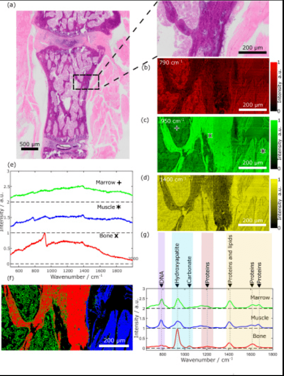 1661405253195324.png 圖片3.png