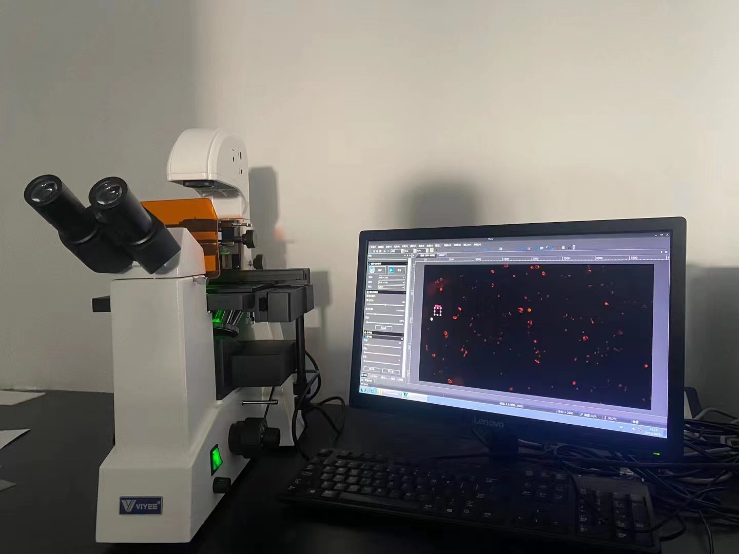 1667454693292255.png 1667454693292255.png