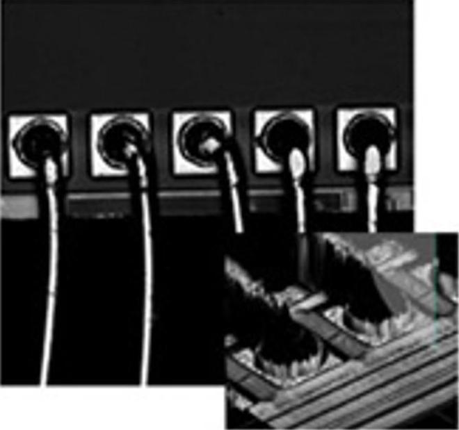 1668059278114708.png 1668059278114708.png