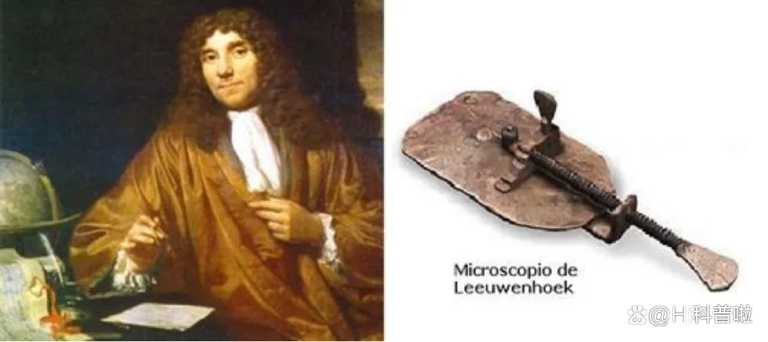 1668414108248593.png 1668414108248593.png