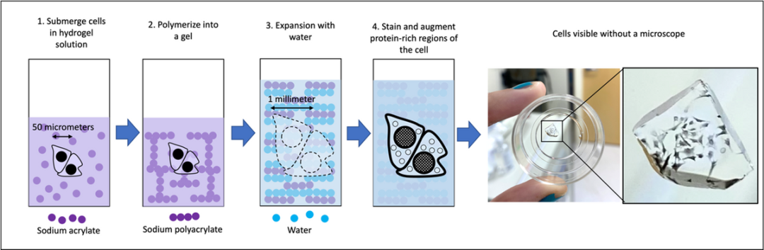 1675394944115750.png 1675394944115750.png