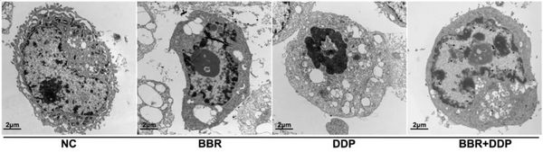 1675920107134492.jpg 1675920107134492.jpg